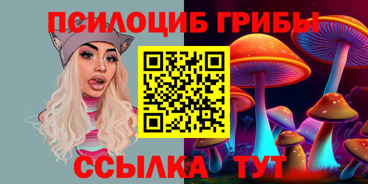 Галлюциногенные грибы Psilocybe  Вход с VPN  Таганрог 